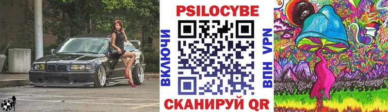 kraken как зайти Нерюнгри Псилоцибиновые грибы Psilocybine cubensis наркота