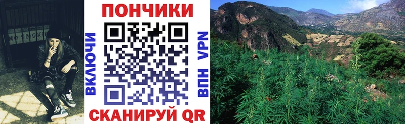 продажа наркотиков  Нерюнгри  Каннабис MAZAR 